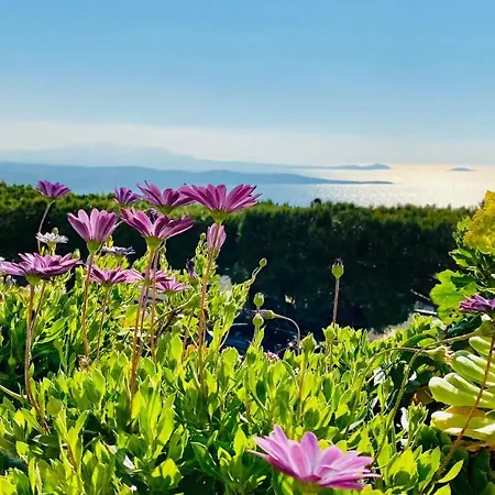 Appartamento Vue Panoramique Et Piscine *