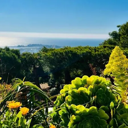 Vue Panoramique Et Piscine * Bandol